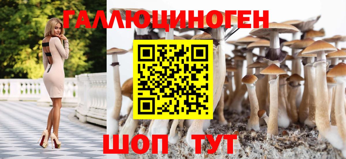 Галлюциногенные грибы Psilocybine cubensis  Вход с VPN  Владимир 
